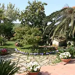 Li Fringi