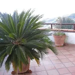 Li Fringi 2* Torchiara