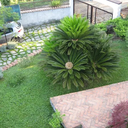 Li Fringi Oda ve Kahvaltı Torchiara