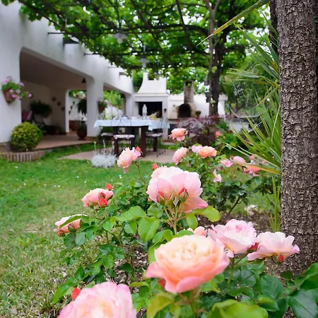 Li Fringi 住宿加早餐酒店 2*